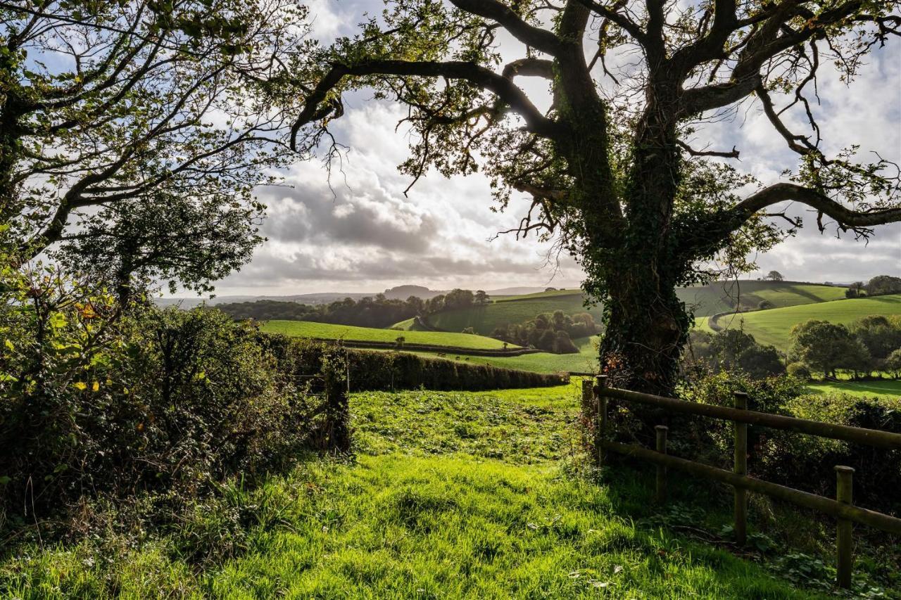 The Stables - Charming 15Th-Century Rural Bolthole Leilighet Newton Abbot Eksteriør bilde